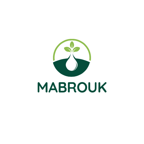 Logo MABROUK.png